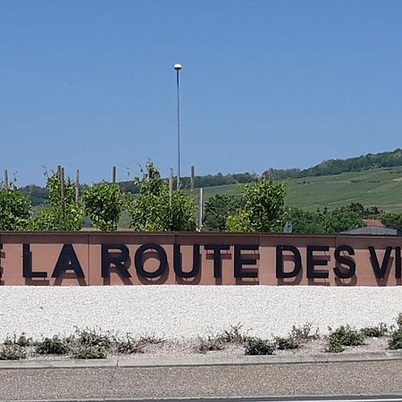 Suite Cocooning - Route Des Vins Bergbieten Bagian luar foto